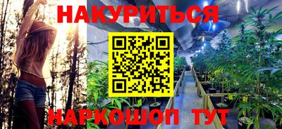 СК Абакан